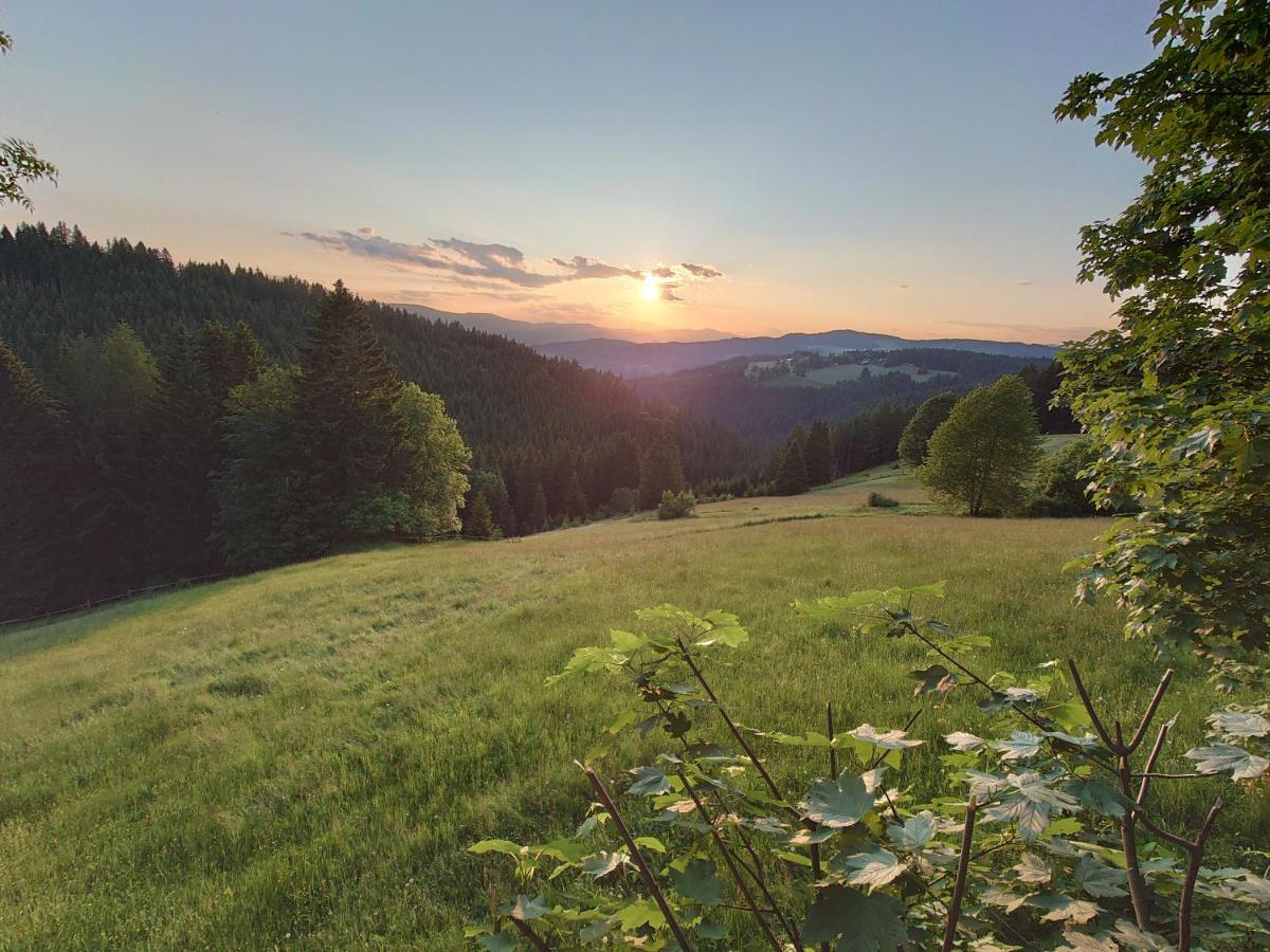 Forsthaus Pracken Villa Wolfsberg Buitenkant foto